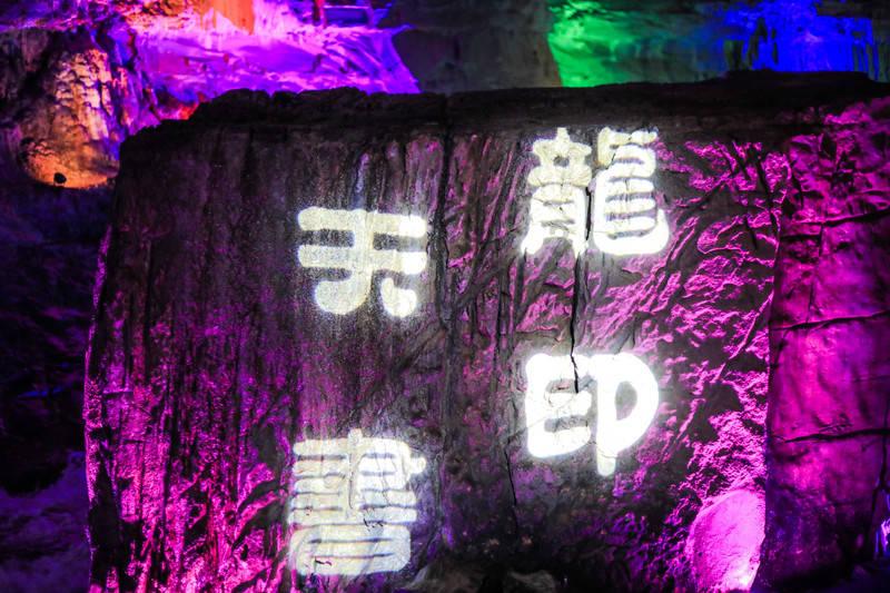 破碎的动物图形3
