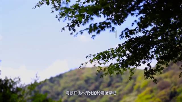 什么样的人会被欺负？