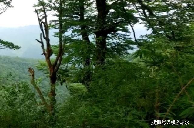 无人之境