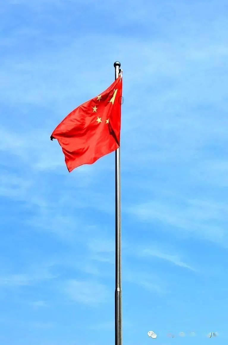 逃离诡异之林